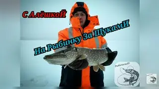 Рыбалка в 