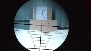 МР 553к. кит Киллер. отстрел пуль люман 0.85 и gamo 0.49