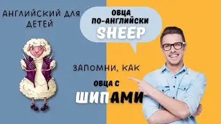 Как всего за 5 минут в день учить английские слова?