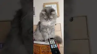 давай погрызу )))