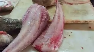 تنظيف سمكة (الراطة) أو سمكة (الݣوال) مع الإخوان samaka samaka