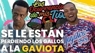 La gaviota se quilla porque se le están perdiendo los gallos🤣🤣🤣🤣🤣