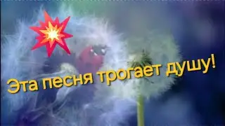 Эта песня трогает душу!
