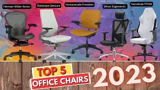 Top 5 BEST Ergonomic Office Chairs of 2023