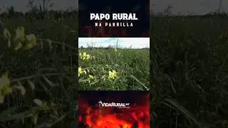 Solução para solos arenosos.