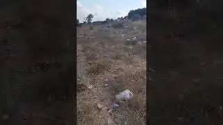 תיעוד הדקירה של עלי חרב
