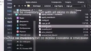 neverlose csgo inventory fix