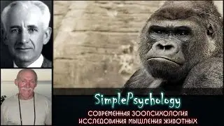 Современная зоопсихология. Исследования мышления животных.
