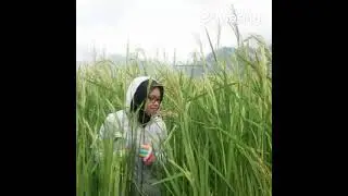 Cover Kekasih Idaman (Ana Uhibbuka Fillah)