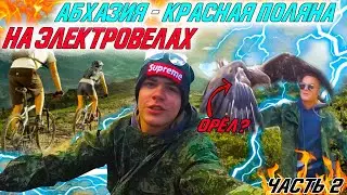 АБХАЗИЯ - КРАСНАЯ ПОЛЯНА НА ЭЛЕКТРО ВЕЛОСИПЕДАХ / ЖИВ ЦЕЛ ОРЁЛ / МЕДВЕДИ И ШАКАЛЫ