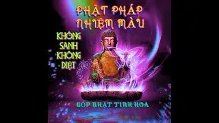 Không Sanh Không Diệt | Đừng Sợ Hãi - Thầy Thích Minh Niệm (Tâm Tĩnh Lặng) (An Lạc)