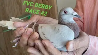 “Something Old, Something New” Episode 6 FVC DERBY 200 MILE RACE