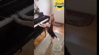 That just made my day 3