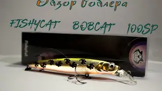 Обзор воблера FishyCat BobCat 100SP(часть 1)