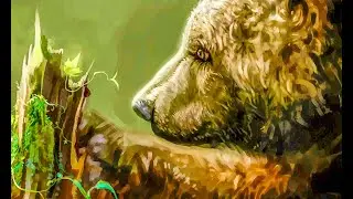 МЕДВЕДИ часть-1