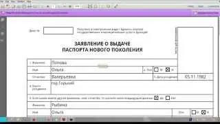 Загранпаспорт как правильно заполнять анкету нового образца (июнь2015)