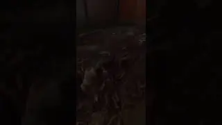 Тусовка майских Жуков