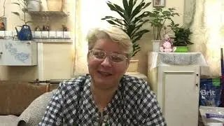 Бэль покусала собачку. Я рухнула с антресоли.