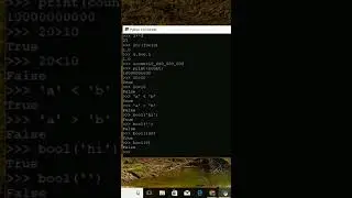 bool function in python