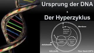 Entstehung der DNA und der Hyperzyklus (Vorlesung Entstehung des Lebens Teil 15)