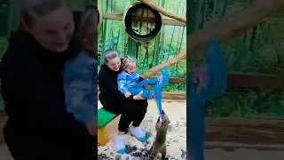 Вообще- то я добрый , но когда голодный...