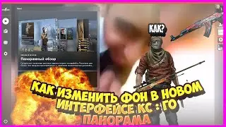 Как поменять задний фон в CS-GO в 2022?