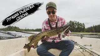 Lots of pike bites. Surface lures work, but there is one BUT!