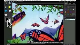 Photoshop Elements Eyedropper Tool