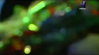 Зиёвдини Нурзод модар