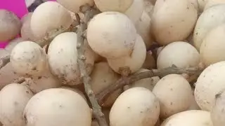 Papua Surga Kecil