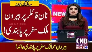 Traveling banned from Pakistan for Non Filer TravelBan | Tax on overseas Pakistanis | DanishPardesi