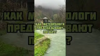 Как метеорологи предсказывают погоду?