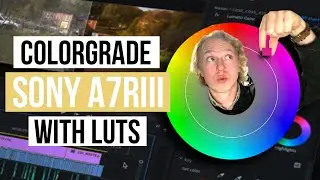Sony A7Riii color grade using LUTS in Premiere Pro