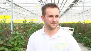 Долина роз под Алапаевском