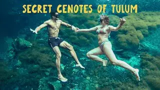 Hidden Paradise: Tulums Most Enchanting CENOTES