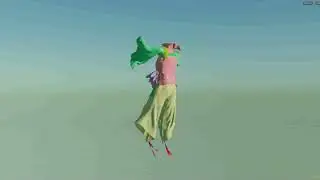 Houdini Vellum sim
