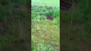 Front yard landscaping causing pooling
