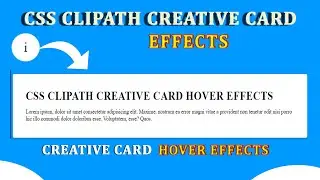 CSS Clip-Path Creative Hover Card Effects Using HTML And CSS Clip-Path | Learn Clip-Path 
