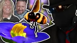 Evolution Totally Destroyed By Bumblebees!