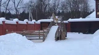 Кангал. Питомник АНТАЛКАЯ.