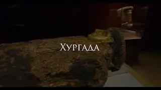 Хургада за 1 минуту