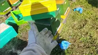 боремся с влагой в зимний период , в ульях ппу #beekeeper #beekeeping #honey