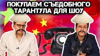 СЪЕДОБНЫЙ ТАРАНТУЛ ДЛЯ ШОУ // БУДНИ ЖИВОТНЫХ