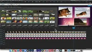How to Edit with WeVideo Part 4 - Cropping and Animation