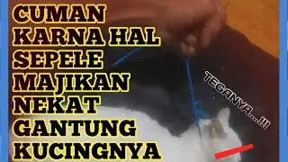 KUCING DIMARAHIN MAJIKAN