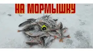 Ловля окуня на мормышку😉👍