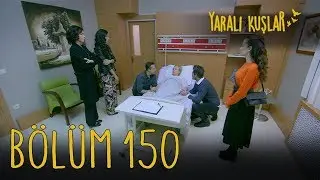 Yaralı Kuşlar 150. Bölüm