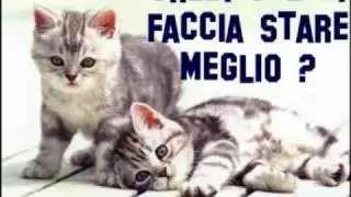 NO ALL'ABBANDONO