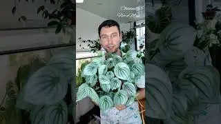 6 августа 2024 г.