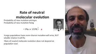 Rate of Neutral Molecular Evolution (S) - Introduction to Genetics and Evolution